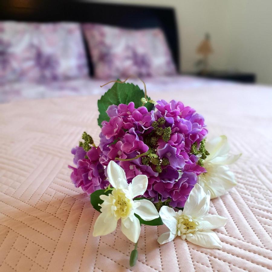 Owls Nest Townhouse Βίλα Πάφος Εξωτερικό φωτογραφία
