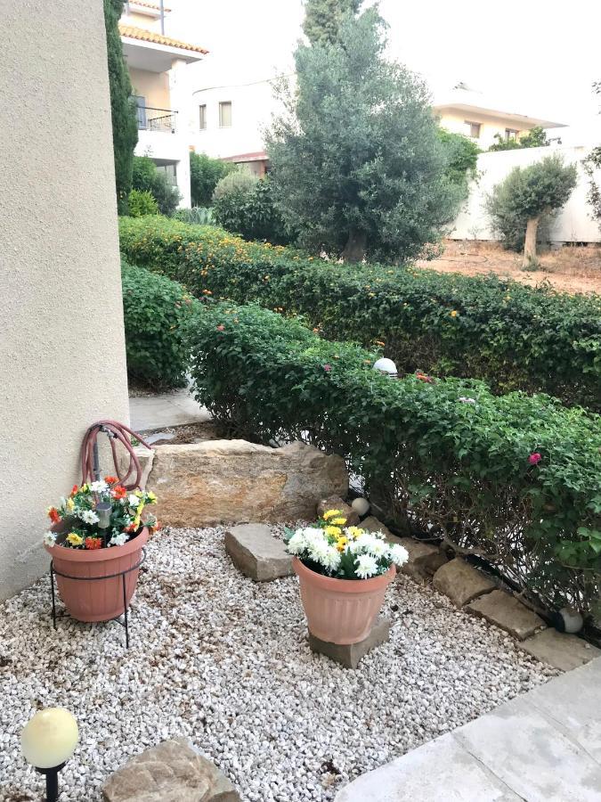 Owls Nest Townhouse Βίλα Πάφος Εξωτερικό φωτογραφία